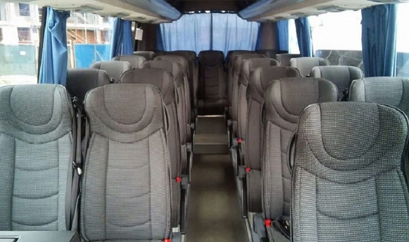 Germany: Coach hire in Germany and Germany