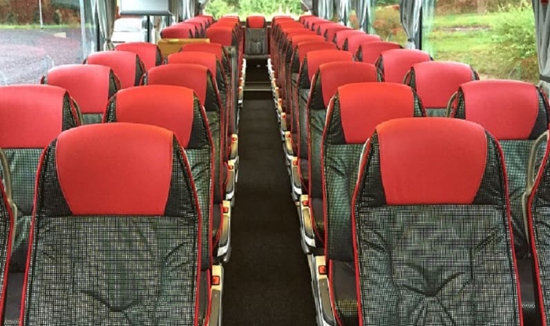 Saxony-Anhalt: Coaches rent in Saxony-Anhalt and Germany